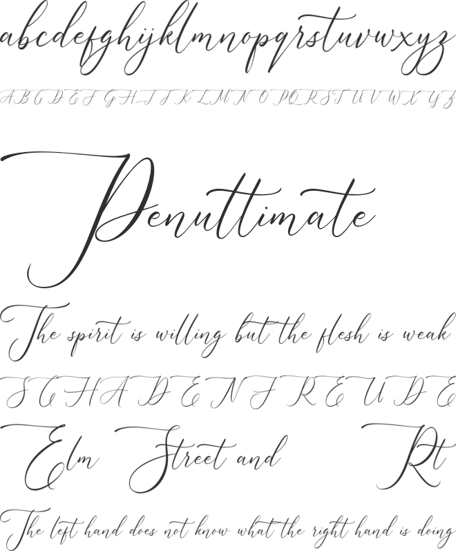 Augustyn FREE font preview