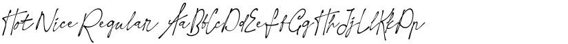 Hot Nice Regular font