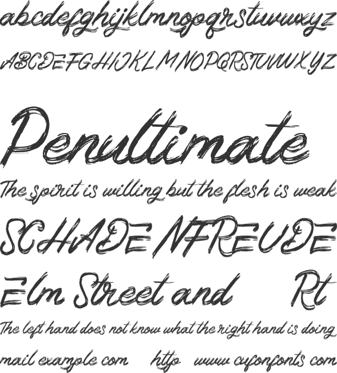 Braser FREE font preview