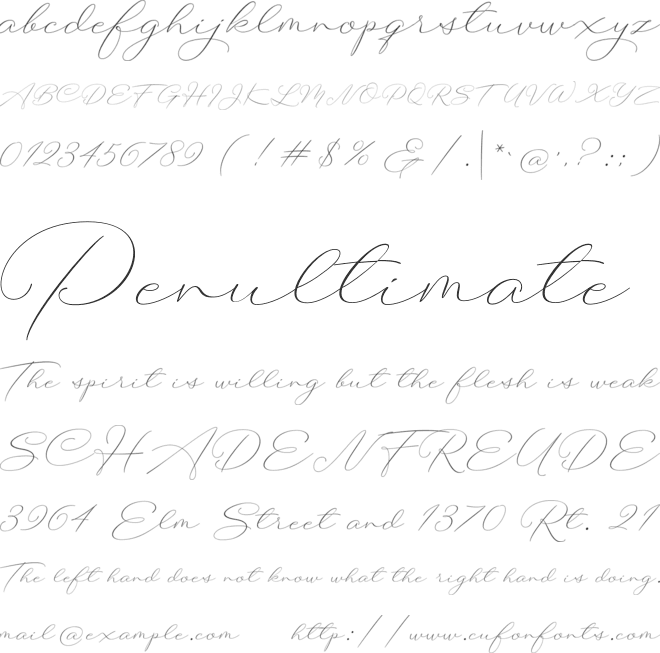 Botterill Signature font preview
