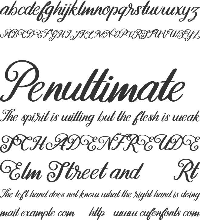 Ollson FREE font preview