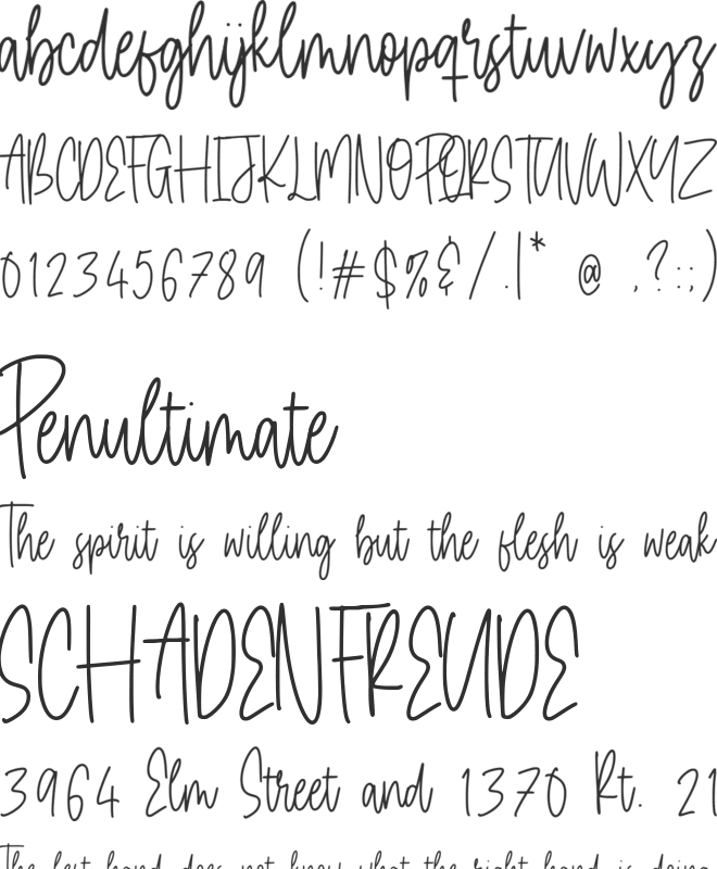 Daily Kitten font preview