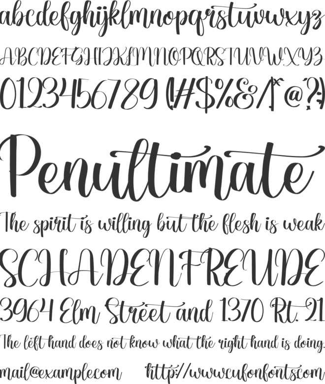 Hiddenlove font preview