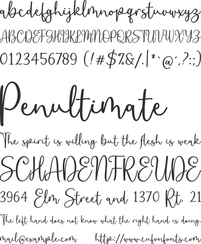 Cattondry font preview
