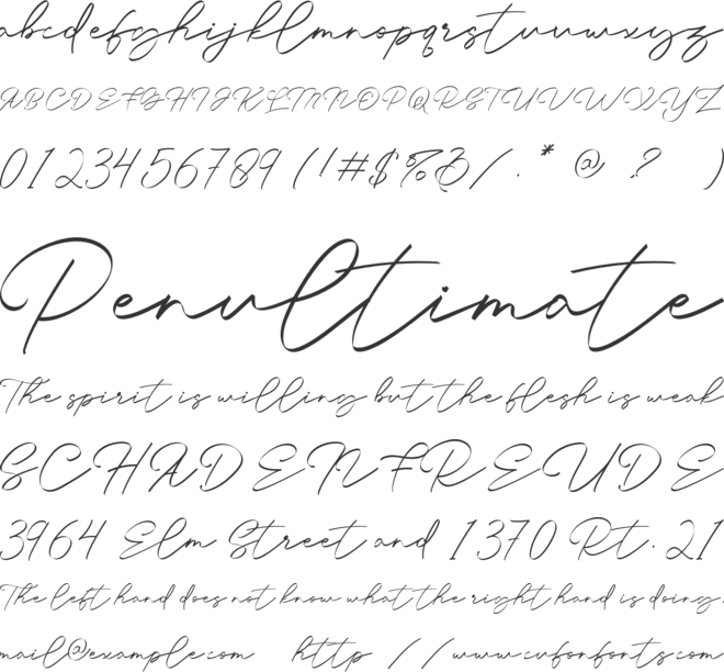 Young Rich font preview