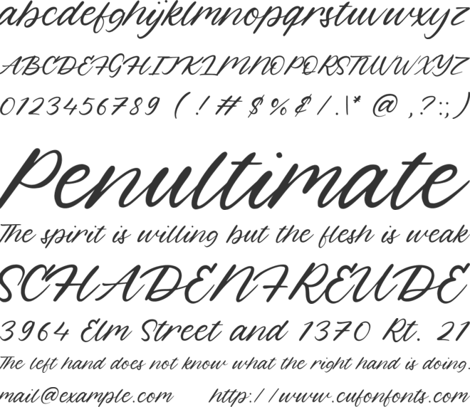 Hippotail font preview