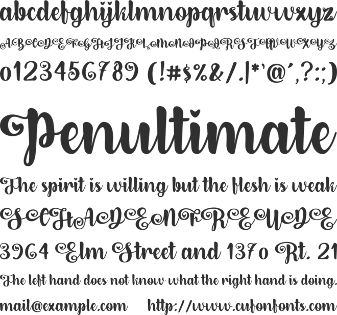 Dirly Belly font preview