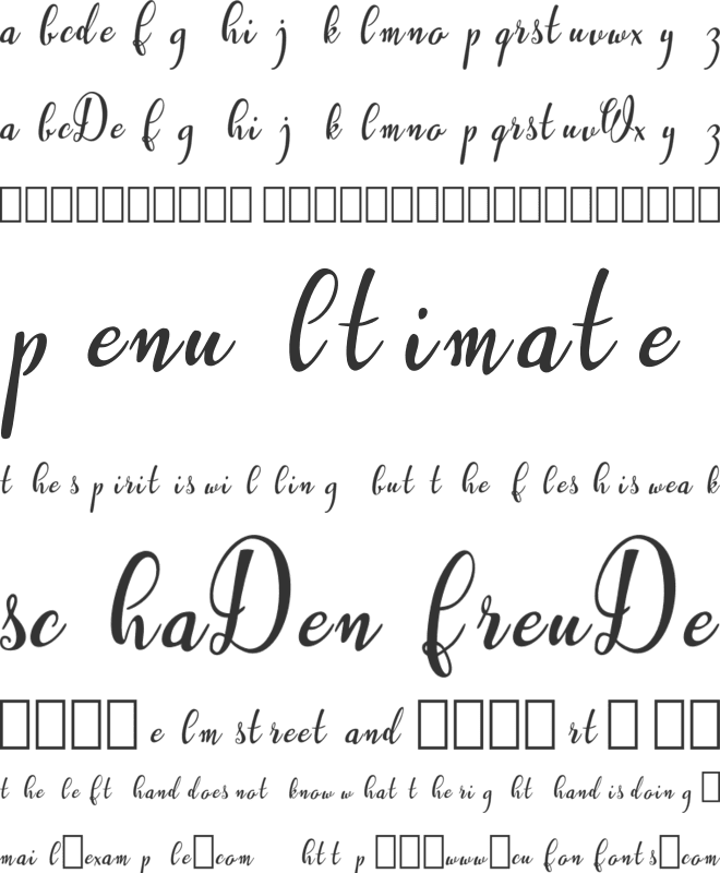 Westyler font preview