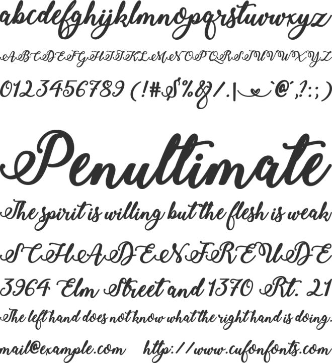 Stylish Calligraphy font preview