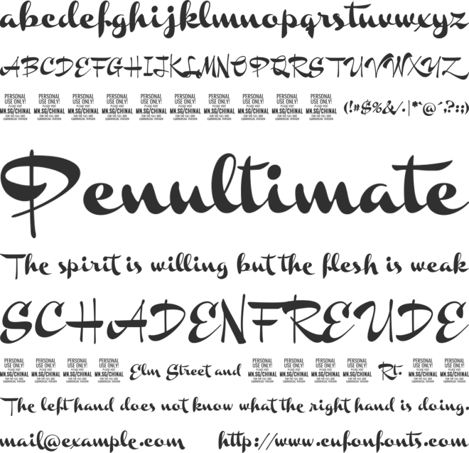 Chinal Black PERSONAL USE ONLY font preview