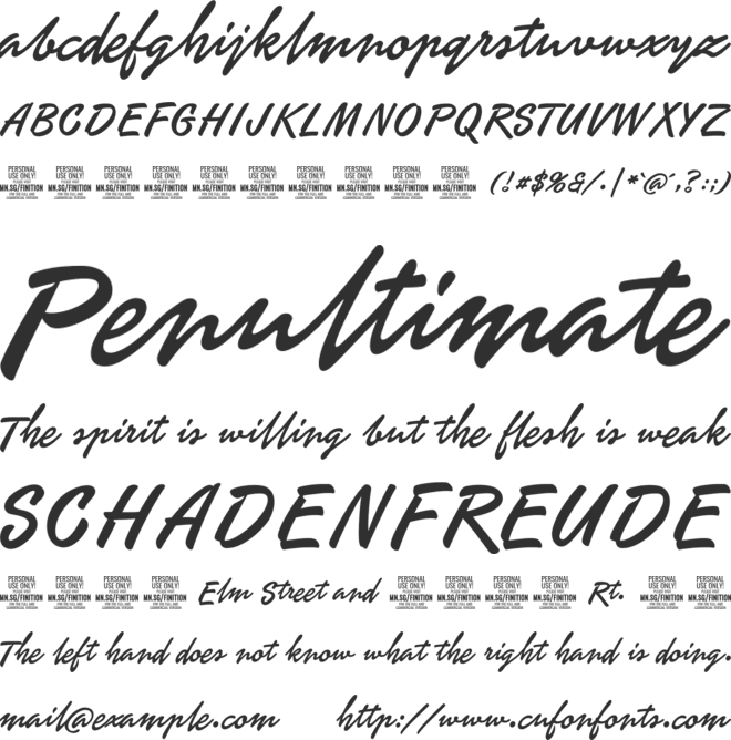 Finition PERSONAL USE ONLY font preview