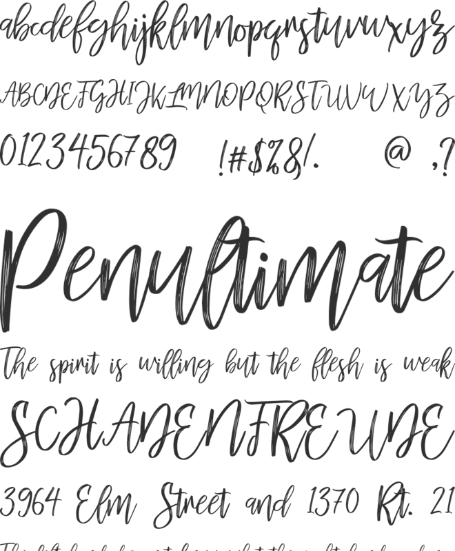 mellony dry brush font preview