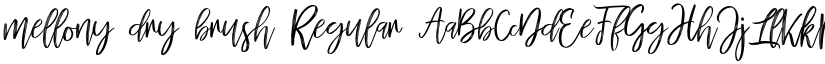 mellony dry brush Regular font