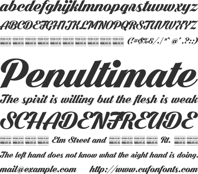 Dark Larch PERSONAL USE ONLY font preview