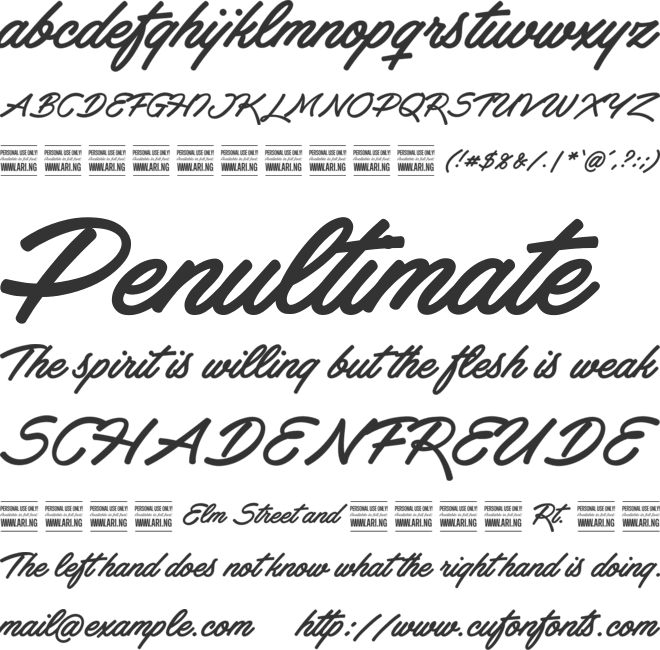 Haydon Brush PERSONAL USE font preview