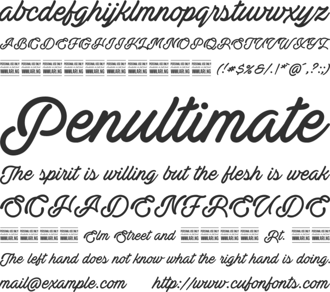 Actonia PERSONAL USE font preview