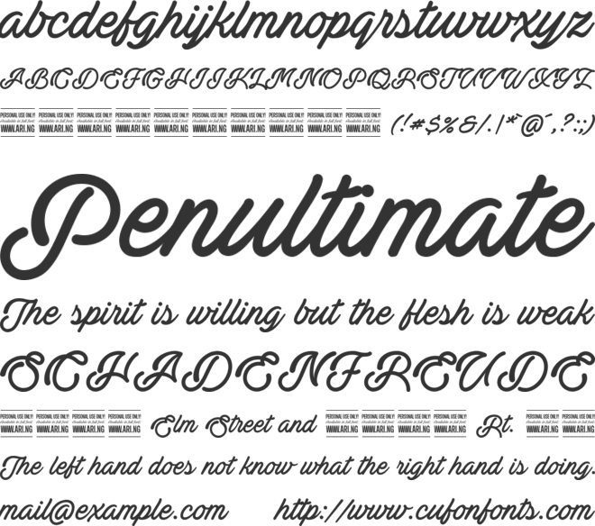 Actonia PERSONAL USE font preview