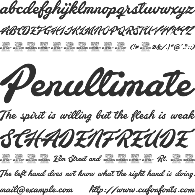 Barley Script PERSONAL USE font preview