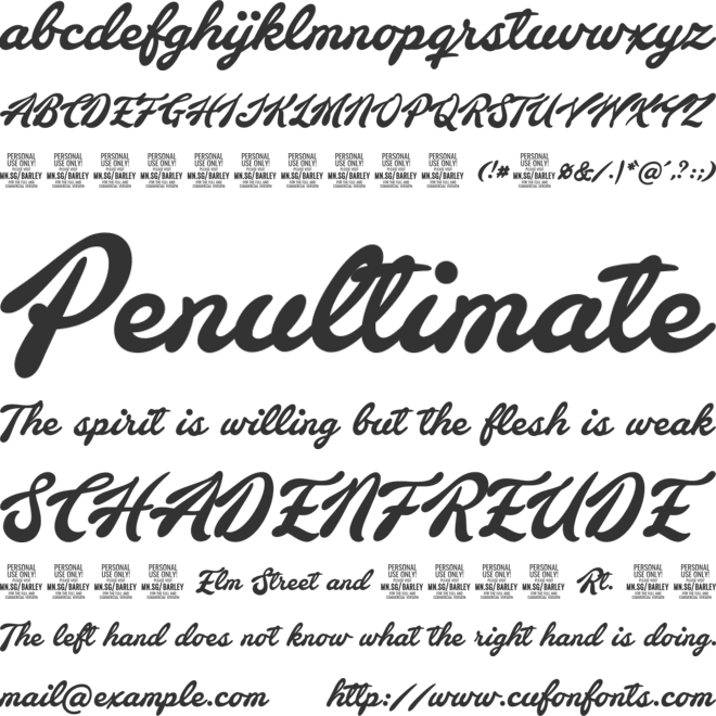 Barley Script PERSONAL USE font preview