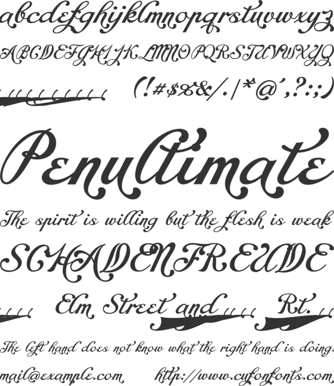 Chapel Script Alt PERSONAL USE font preview