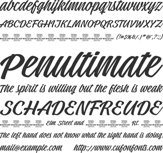 Tall Casat  PERSONAL USE font preview