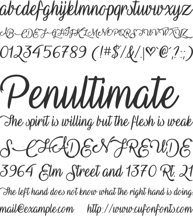 Vampire Calligraphy font preview