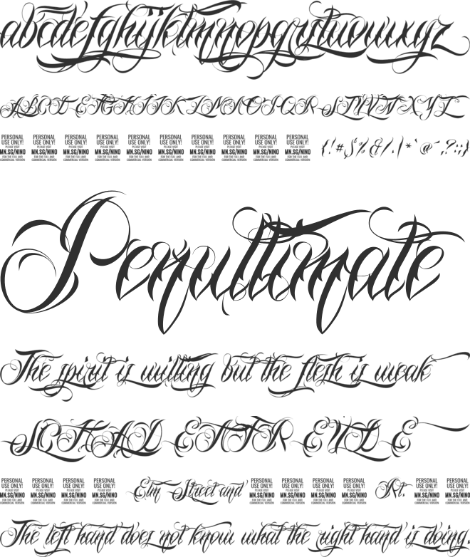 Nino Script PERSONAL USE ONLY font preview