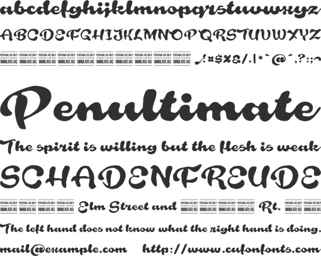 Rough Rakoon In PERSONAL USE font preview