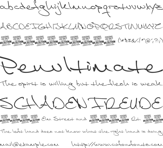 From Skyler PERSONAL USE ONLY font preview