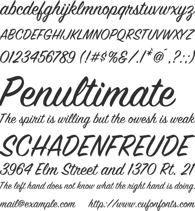 SignPainter font preview
