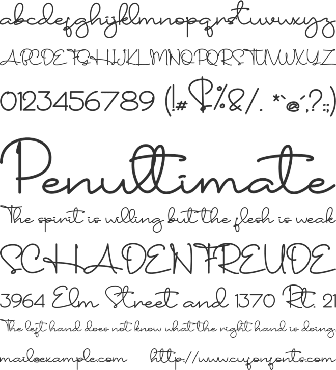 Standing Classy - Personal Use font preview