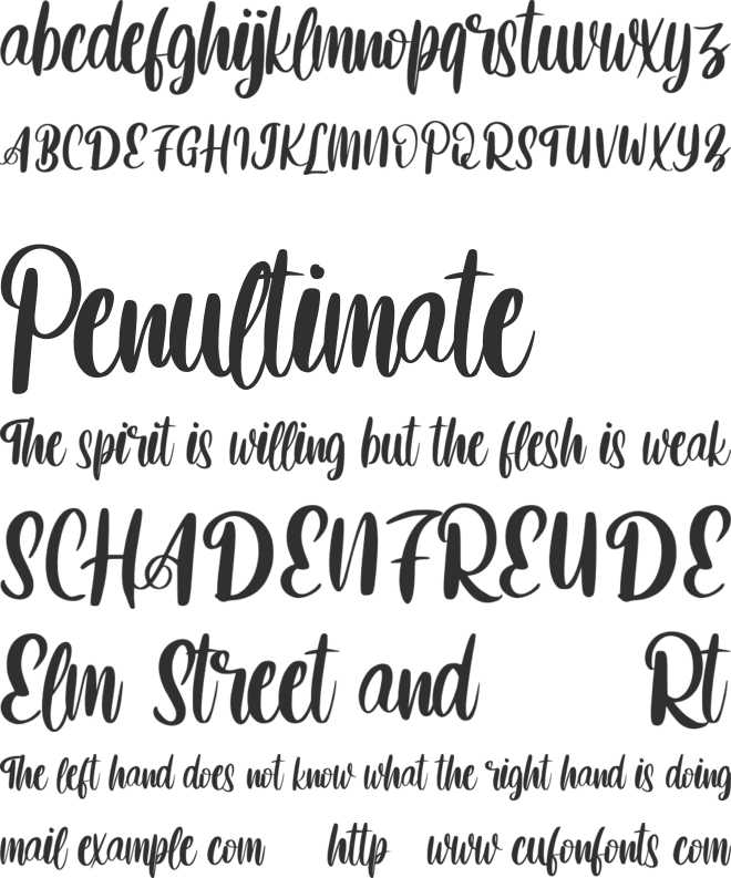 Betnefie FREE font preview