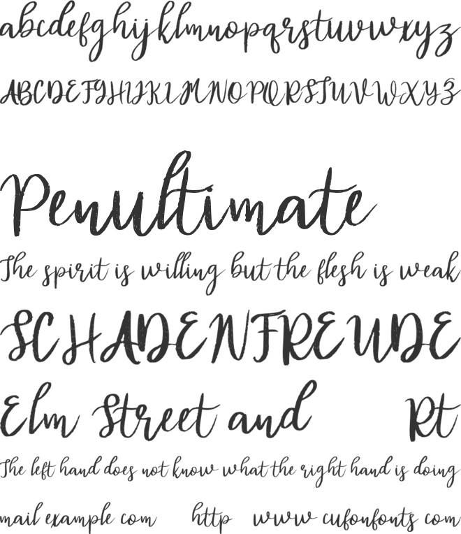 Diana Rough FREE font preview