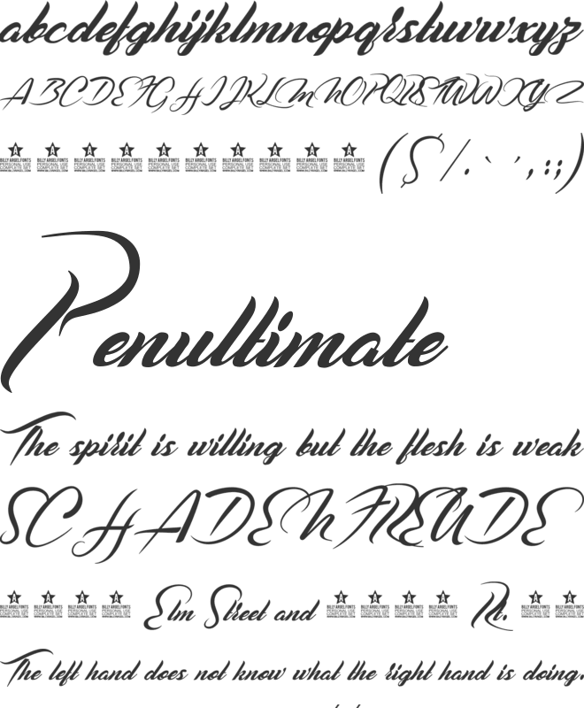 Casablanca Noir Personal Use font preview