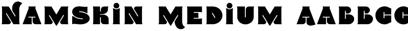 Namskin Medium font