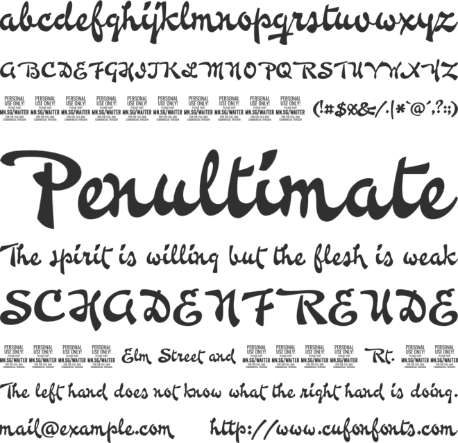 Waiter PERSONAL USE ONLY font preview