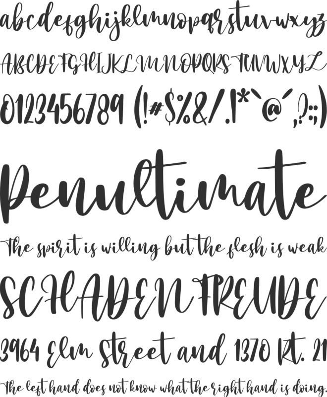Mango Salsa - Personal Use font preview