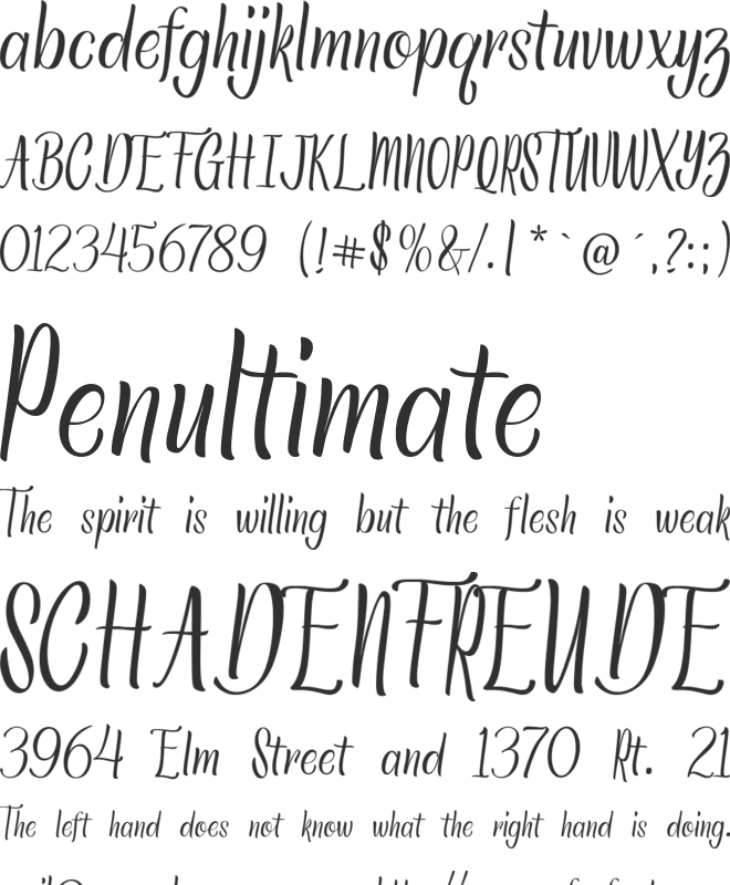 Staykingston font preview