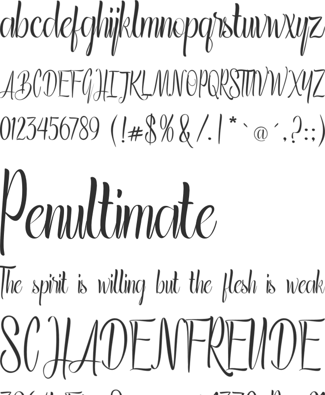 Grandstown Script font preview