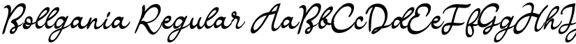 Bollgania Regular font