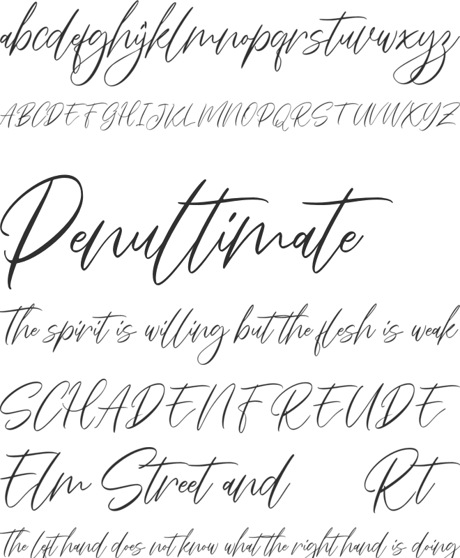 Everlyne FREE font preview