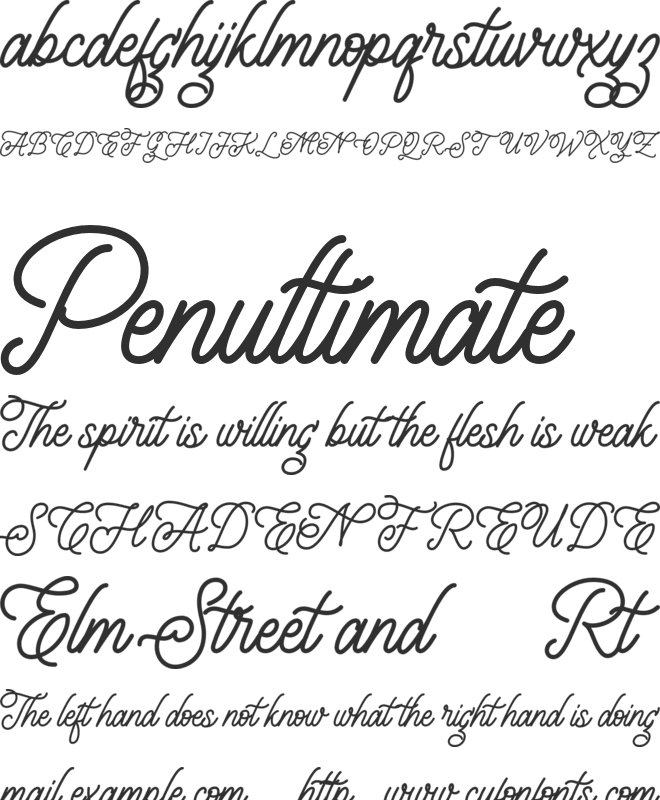 Leightonz FREE font preview