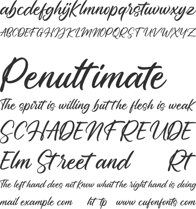 Penleigh FREE font preview