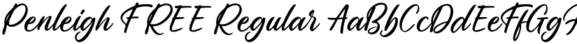 Penleigh FREE Regular font