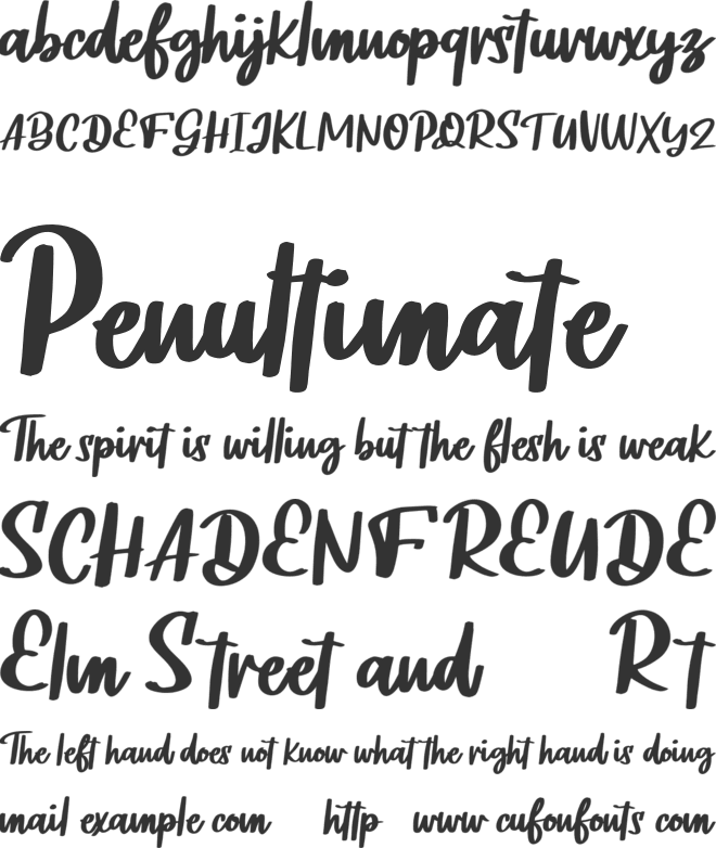 Noifale FREE font preview