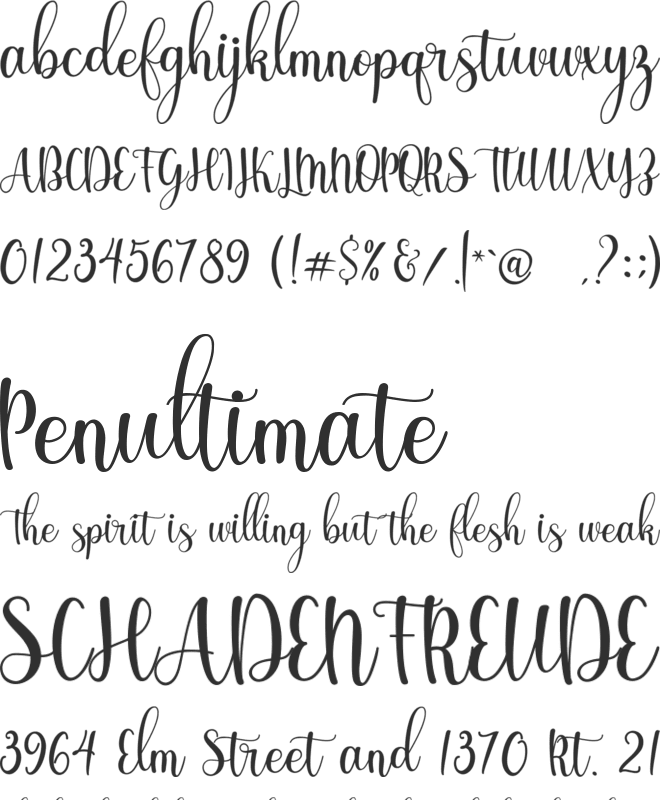 Shinesy font preview