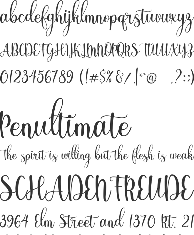 Shinesy font preview