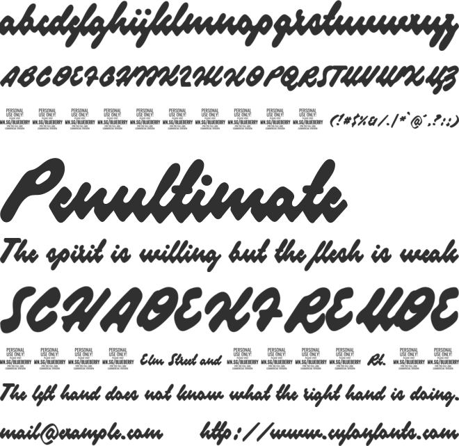 Blueberry Script PERSONAL USE font preview