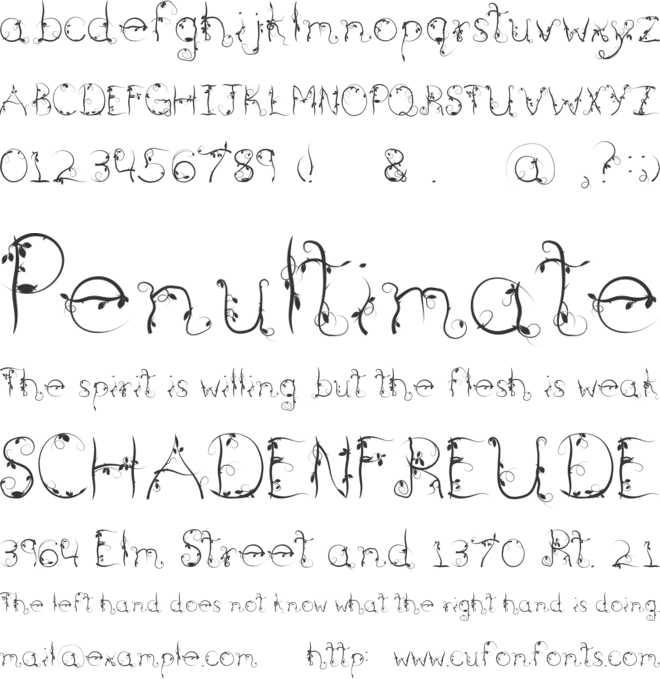 Briarwood font preview