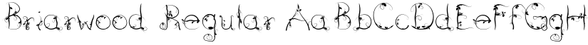 Briarwood Regular font